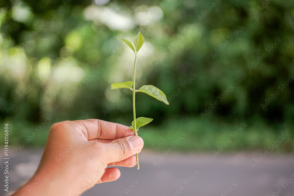 Hand holding green plant stem with blurred green leaves background, eco friendly earth day concept Hand holding green plant stem with blurred green leaves background, eco friendly earth day concept