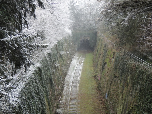 Petite Ceinture - Snow in Paris photo