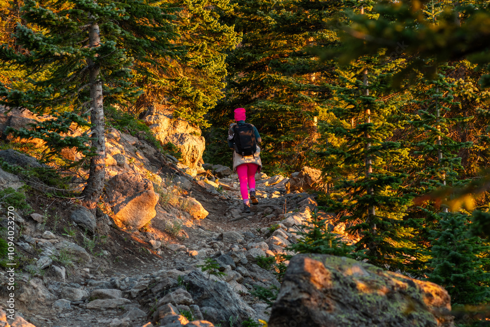 Fototapeta premium A female hiker in bright clothing navigates a rocky trail through evergreen trees during golden hour in a serene mountain landscape (Fern Lake Trail)