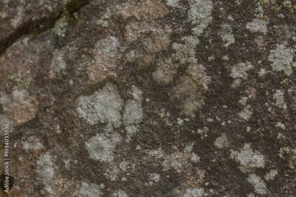 Map Lichens In Northern Ontario Map Lichens In Northern Ontario