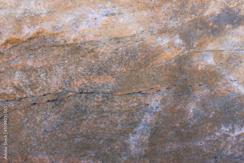 Canadian Shield Rock In Parry Sound