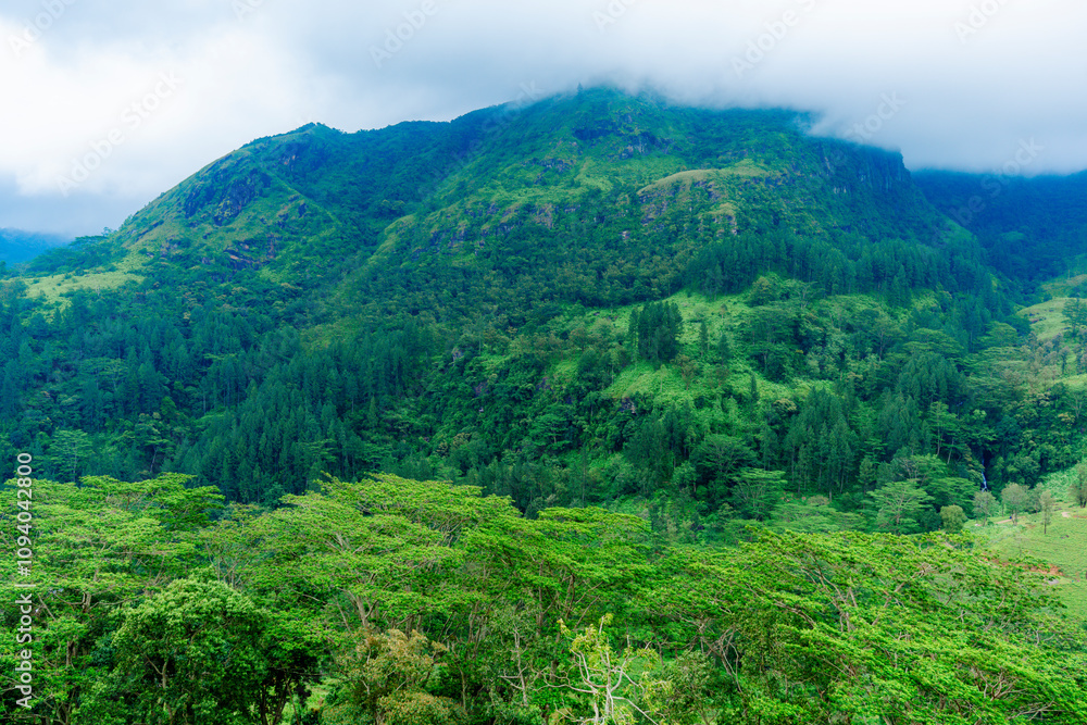 Scenic Tropical Wilderness Under a Cloudy Sky Aerial view Scenic Tropical Wilderness Under a Cloudy Sky Aerial view