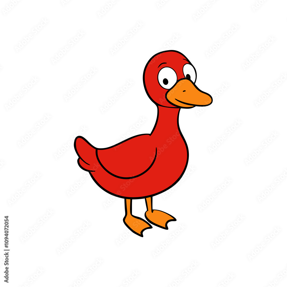 Muscovy duck vector illustration Muscovy duck vector illustration