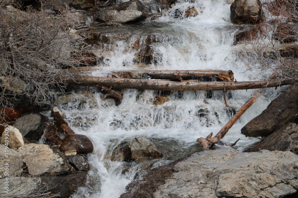 Fototapeta premium Lower Tangle Creek Falls, Jasper National Park, Alberta