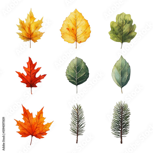 Colorful Watercolor Leaves on Transparent Background