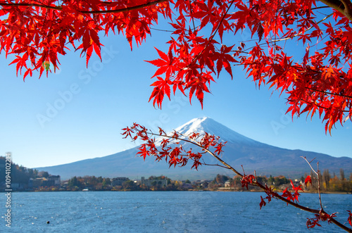 Mount Fuji, the iconic symbol of Japan, during the season of autumn foliage, a period of exceptional beauty.kawaguchiko,japan. photo