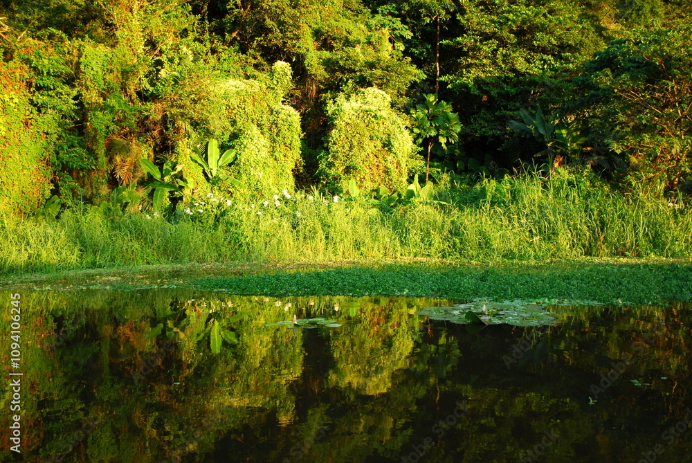 The scenery of Daxi Wetland in Taiwan The scenery of Daxi Wetland in Taiwan