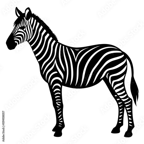 zebra vector illustration