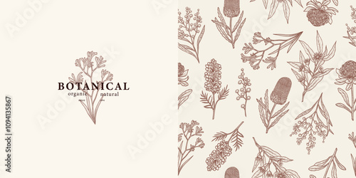 Hand drawn Australian flowers and plants background and logo