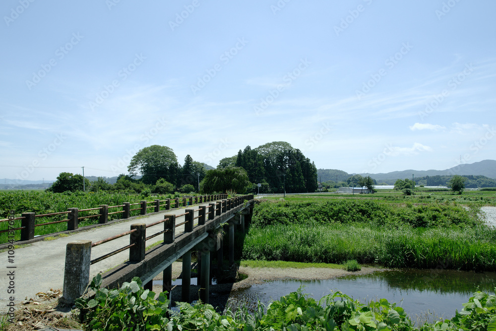夏の田舎の田園風景 夏の田舎の田園風景