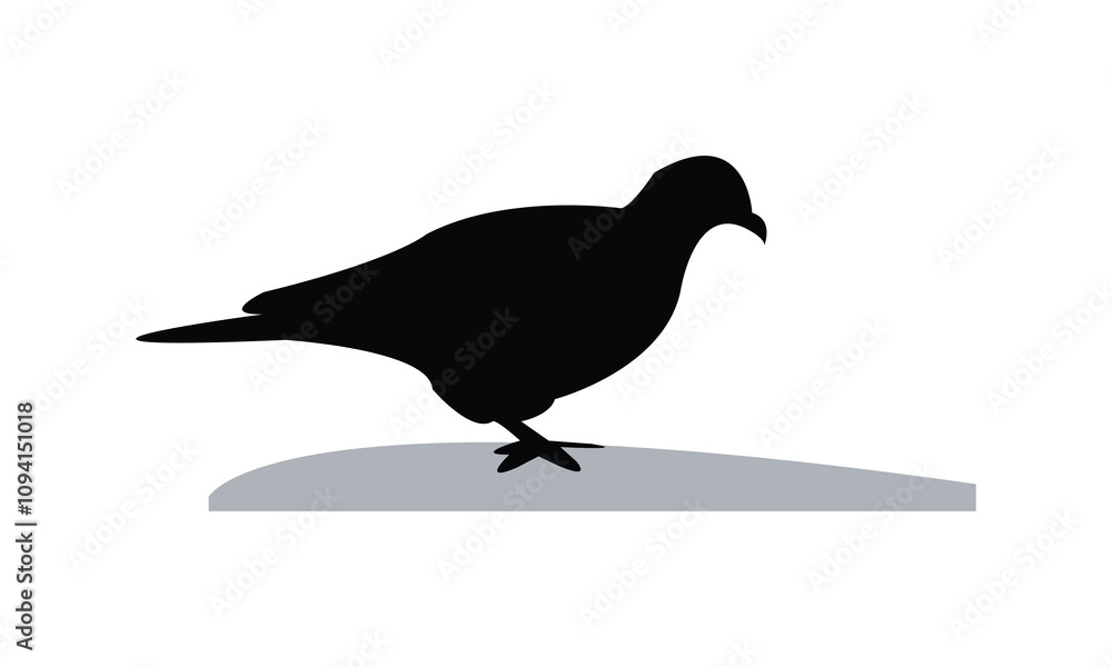 Fototapeta premium Ring Dove Silhouette Design And Vector Illustration. 