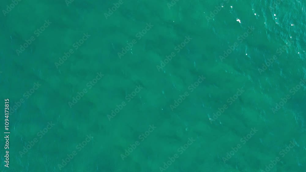 DRONE : TOP-DOWN VIEW OF THE SEA IN BAJA CALIFORNIA DRONE : TOP-DOWN VIEW OF THE SEA IN BAJA CALIFORNIA