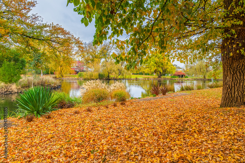 Castlemaine Botanical Gardens in late Autumn photo