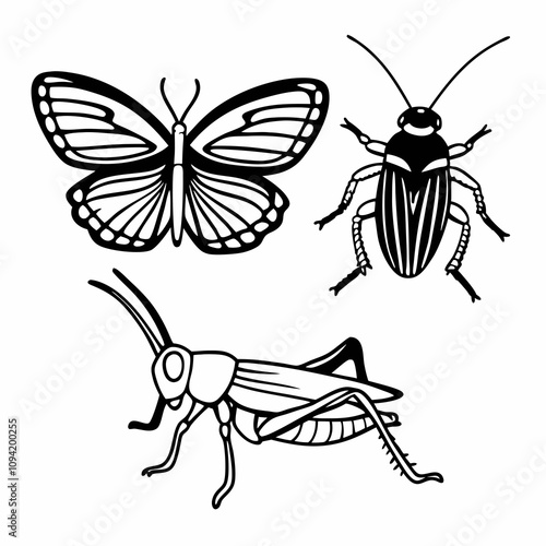 set of insects collections illustrations vector art isolated white background 