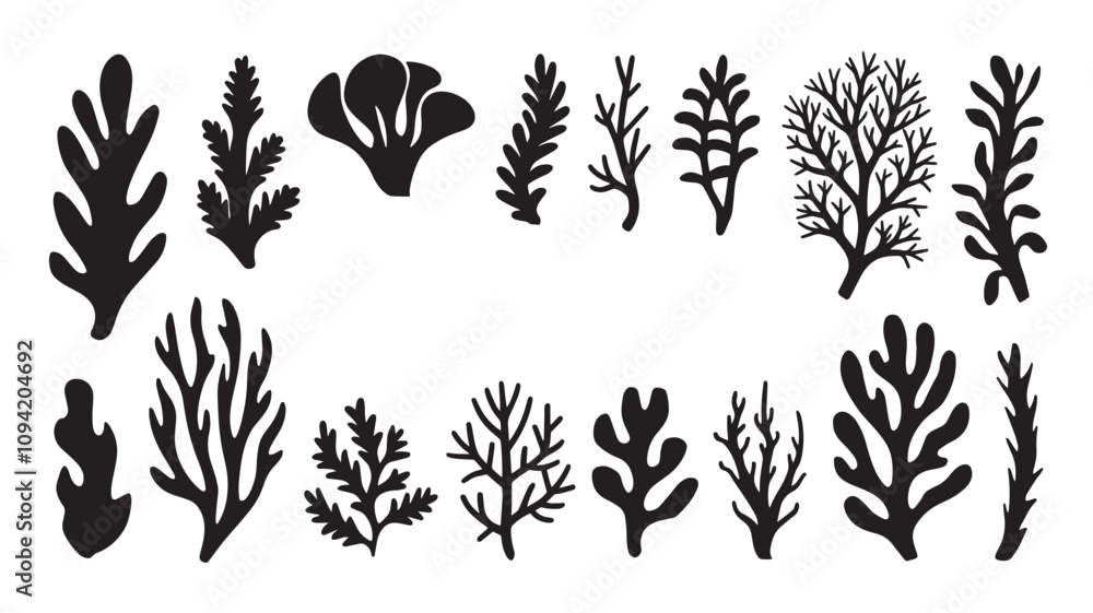 Abstract Algae seaweed shapes. Seaweed big set in silhouette style. Collection of black underwater plants Abstract Algae seaweed shapes. Seaweed big set in silhouette style. Collection of black underwater plants