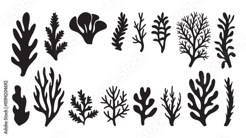 Abstract Algae seaweed shapes. Seaweed big set in silhouette style. Collection of black underwater plants