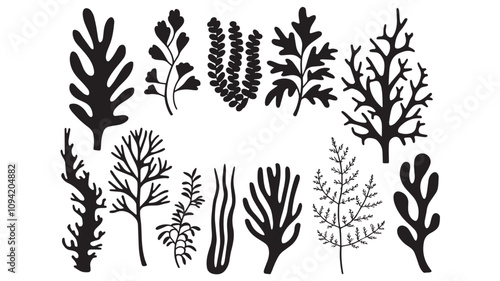 Abstract Algae seaweed shapes. Seaweed big set in silhouette style. Collection of black underwater plants