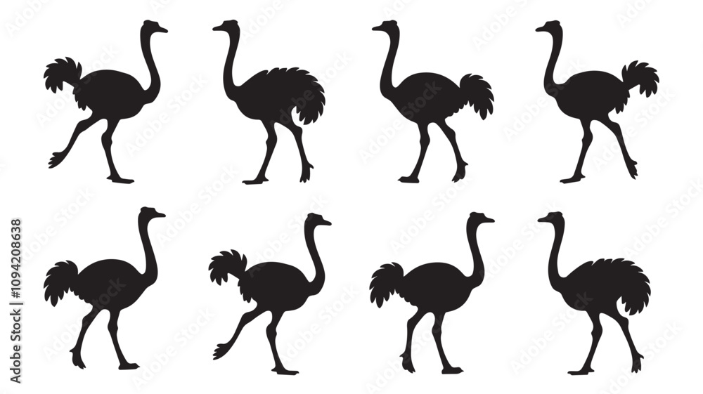 Obraz premium silhouettes of ostriches on a white background