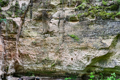 The sandstone cliffs of Hinni gorge, hinni kanjon, a 20 metre deep gorge with green trees and sandstone cliffs, sandstone gorges near Rouge, Võru, Voru, Estonia photo