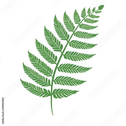 Green Fern Leaf Illustration on White Background Showcasing Delicate Details and Natural Beauty Ideal for Botanical, Floral, or Nature-Themed Projects