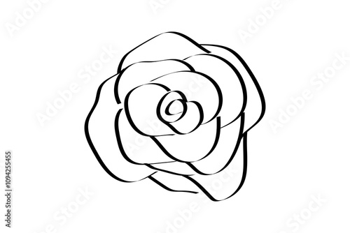 バラ　線画　イラスト　透過