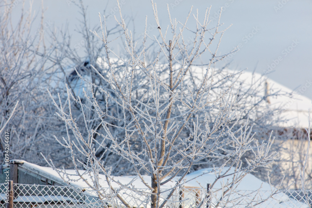 A tree covered in snow and ice