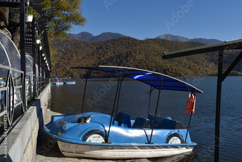 Wallpaper Mural boats in the harbor Torontodigital.ca