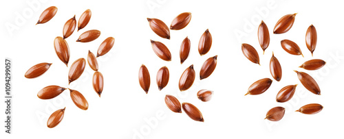 High-Quality PNG flax seeds Isolated on White Background – High Resolution