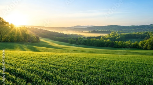 Serene landscape with rolling hills and sunlight.