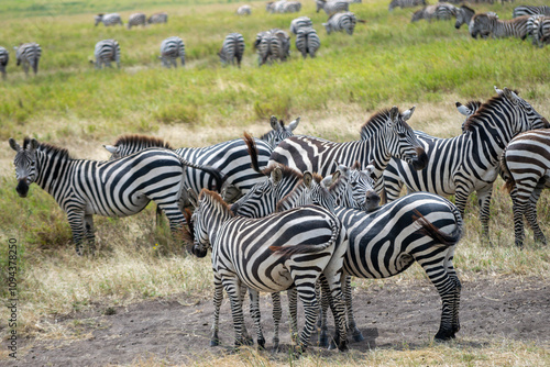 Simiyu is an administrative region of Tanzania. It was created in March 2012, being until then part of the Shinyanga Region. Its capital is the city of Bariadi.