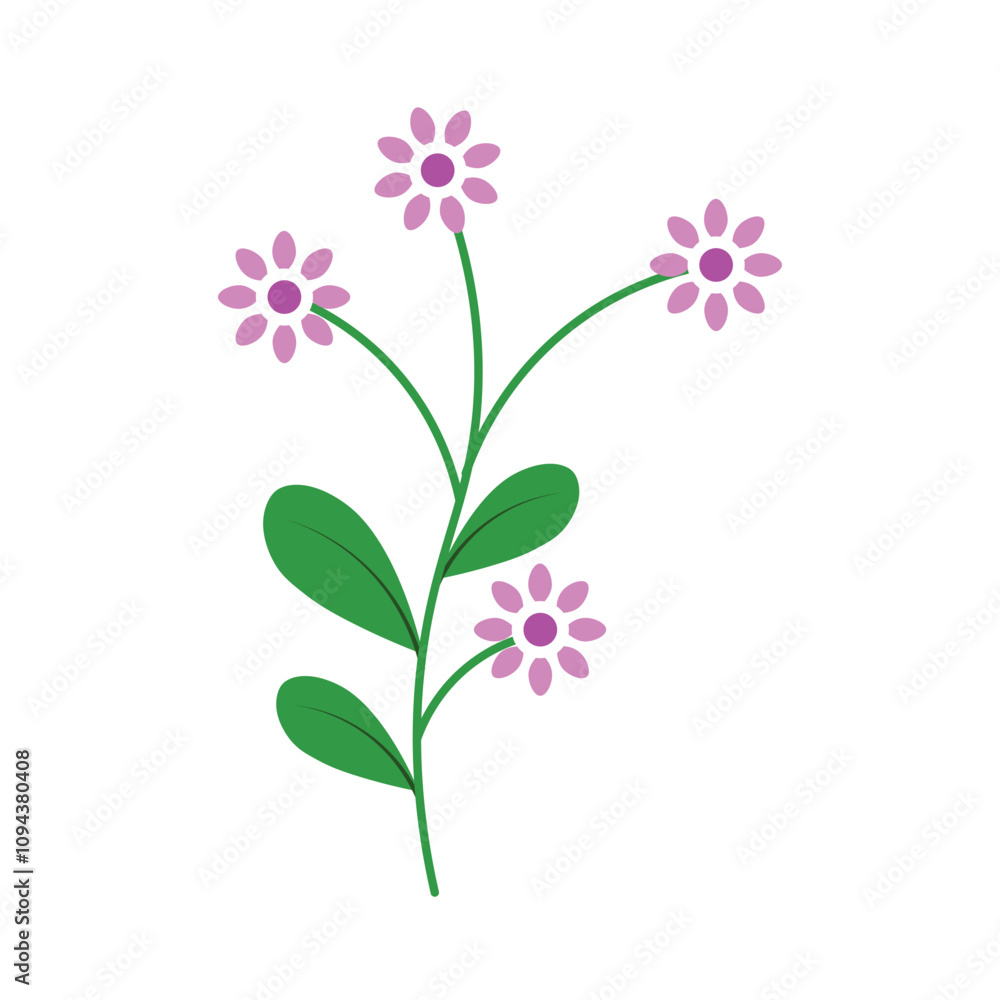 Spring Flower Spring Flower