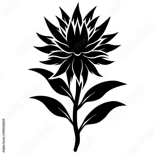 black and white flower