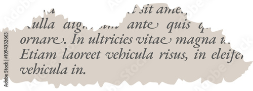 Newspaper torn paper vector for background or border