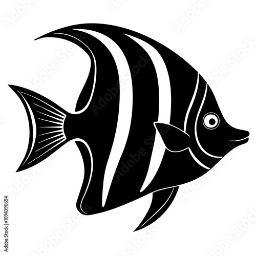 angelfish illustration