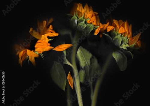 Sunflower scan background. Scanned blooming summer flower bouquet. Glitchy abstract strongly distorted plant. Colourful botanical photocopy with scanner noise effect.