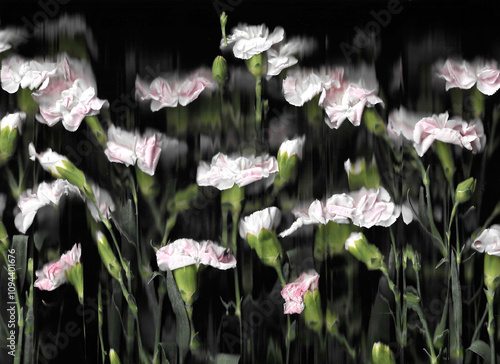 Pink carnation or clove pink vertical scan background. Scanned blooming spring flower bouquet. Glitchy abstract strongly distorted plant. Colourful botanical photocopy with scanner noise effect.