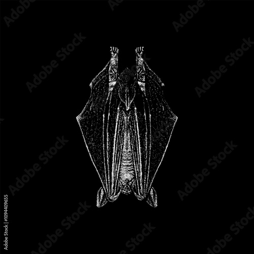 Little Brown Bat hand drawing vector isolated on black background.