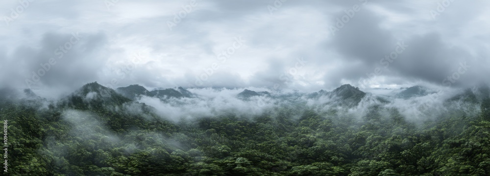 Green rainforest landscape, misty mountains in the background. Panoramic view of the jungle Green rainforest landscape, misty mountains in the background. Panoramic view of the jungle