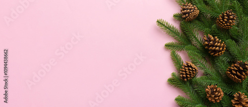 Christmas holiday background with copy space for advertising text. Fir branches and pine cone on color background . Flat lay, top view