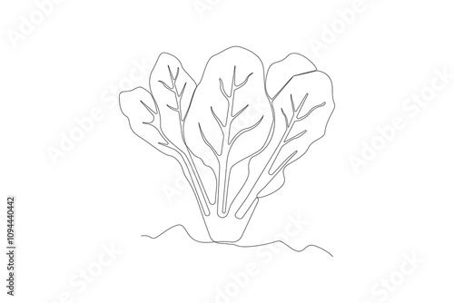 Spinach plant continuous line art drawing. Spinach vegetable outline vector isolated on white background.