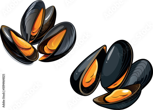Fresh open mussels showing orange interior flesh on white background