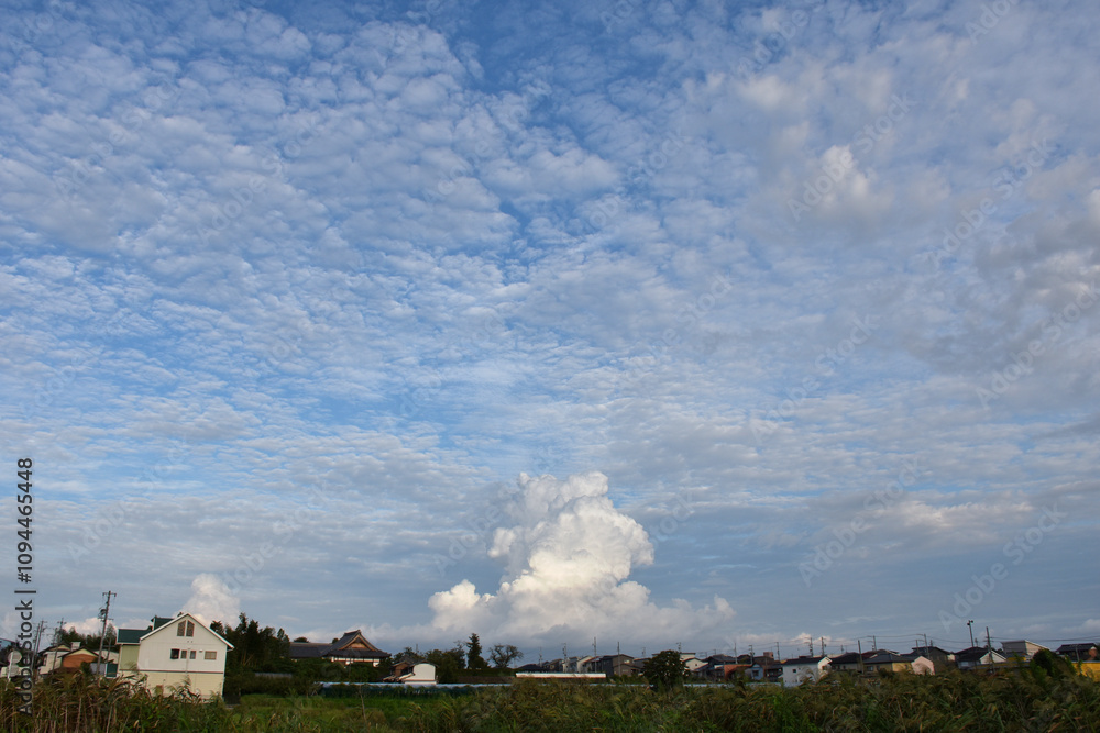 青空と白い雲 青空と白い雲