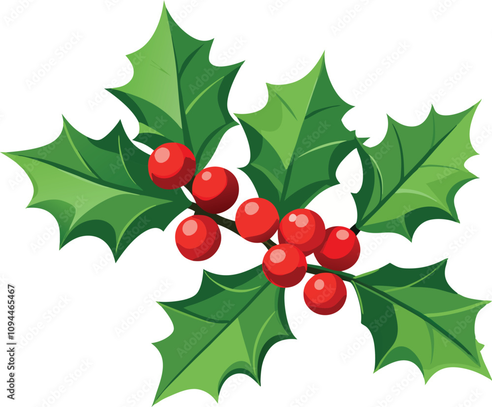 Christmas holly branch with red berries and green leaves Christmas holly branch with red berries and green leaves