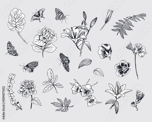 Flowers and leaves set in ink. Monstera, fern, hydrangea, lily, butterflies, eucalyptus. Vector illustration. Graphic style. For compositions of cards, invitations, patterns, labels, posters, banners. photo