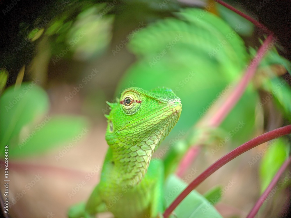 Fototapeta premium Vibrant Green Lizard Among Foliage