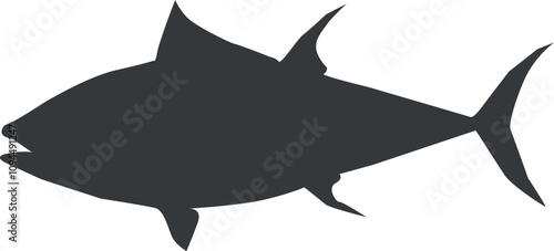 shark illustration