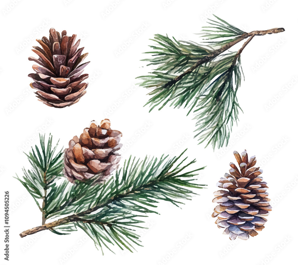 Fototapeta premium christmas tree branches with cones