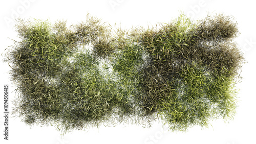 Top view of 3D render various types of flowers, grass, bushes, shrub, stone, and small plants on transparent background