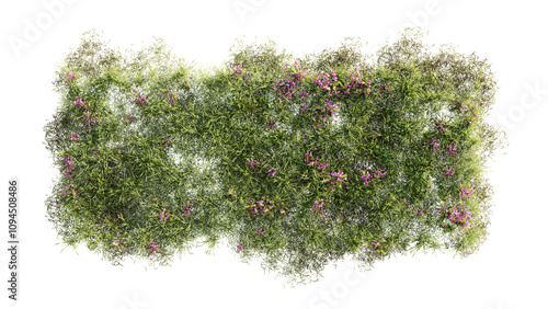Top view of 3D render various types of flowers, grass, bushes, shrub, stone, and small plants on transparent background