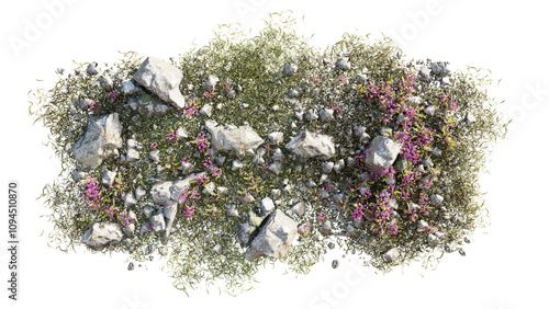 Top view of 3D render various types of flowers, grass, bushes, shrub, stone, and small plants on transparent background